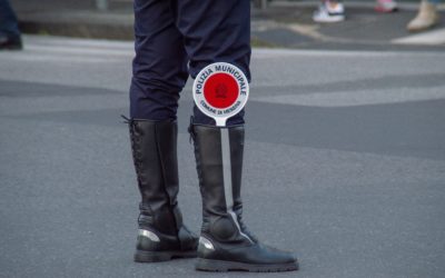 Consiglio di stato annulla sospensione cautelare a seguito di procedimento penale: maresciallo capo della guardia di finanza deve essere riammesso in servizio